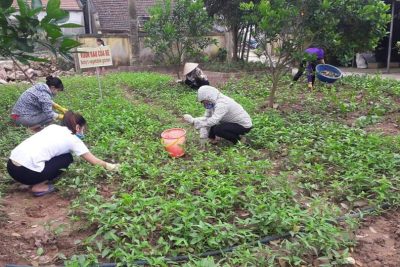 CÔNG TÁC CHUẨN BỊ ĐÓN TRẺ ĐẾN TRƯỜNG SAU KÌ NGHỈ TẾT NGUYÊN ĐÁN TÂN SỬU VÀ NGHỈ PHÒNG CHỐNG DỊCH COVID-19
