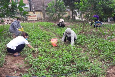 CÁN BỘ, GIÁO VIÊN, NHÂN VIÊN TRƯỜNG MN XÃ NGUYÊN LÝ CHUẨN BỊ CÁC ĐIỀU KIỆN ĐẢM BẢO AN TOÀN CHO TRẺ ĐI HỌC TRỞ LẠI