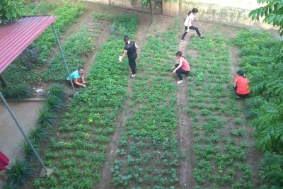 HOẠT ĐỘNG CHÀO MỪNG NGÀY 26/03