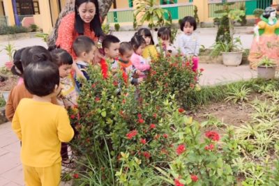 HOẠT ĐỘNG TRẢI NGHIỆM TRƯỜNG MN XÃ NGUYÊN LÝ