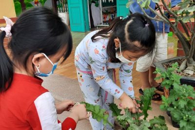 HOẠT ĐỘNG TRẢI NGHIỆM CHO BÉ 5 TUỔI